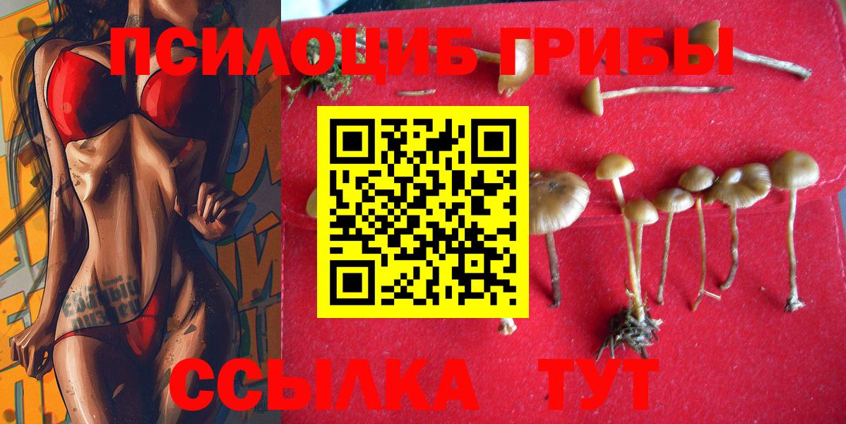Галлюциногенные грибы Cubensis  Псилоцибиновые грибы Psilocybine cubensis  Вход с VPN  Дальнегорск 
